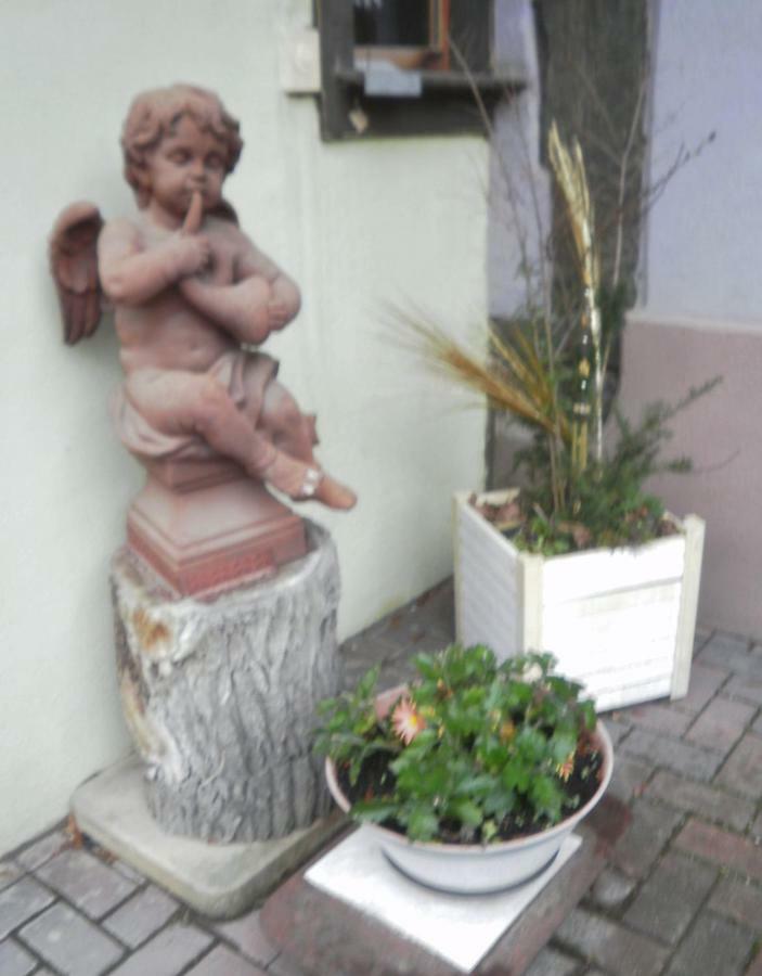 Gites Petermann 马尔科勒塞姆 外观 照片
